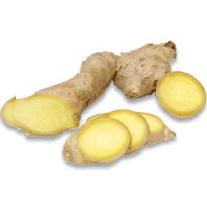 Ginger PNG-16801